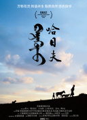 天地战纪游戏评测：探索全新世界的冒险旅程